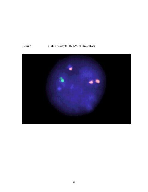 TRISOMY 8 MOSAICISM: CELL CYCLE KINETICS AND ...