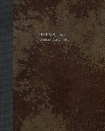 TERRAIN,three