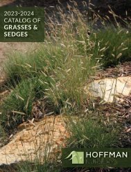 2023-2024 Hoffman Nursery Catalog of Grasses & Sedges