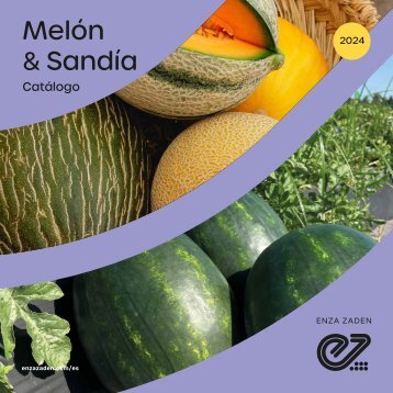 Folleto Melon 2024