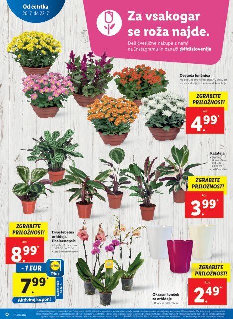 Lidl katalog