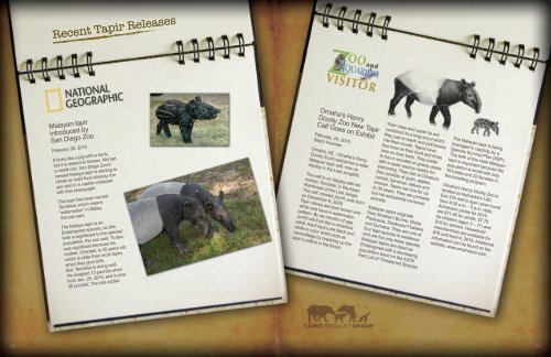 About Tapirs - Tapir Specialist Group