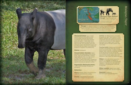 About Tapirs - Tapir Specialist Group