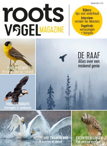 Roots Vogelmagazine 2 Najaar 2023 - Inkijkexemplaar