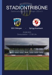 STADIONTRIBÜNE - AKTUELLE NEWS ZU DEN KREISLIGA-HEIMSPIELEN DER SSV DILLINGEN IM DONAUSTADION!