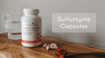 Sulfurzyme Training Presentation