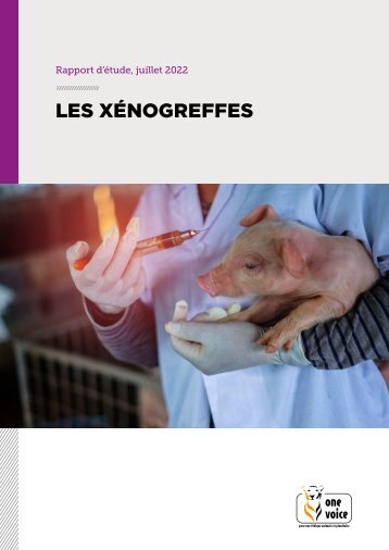 Les xénogreffes