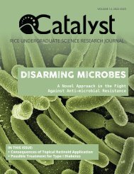 [Rice Catalyst Issue 14]