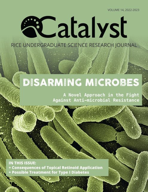[Rice Catalyst Issue 14]