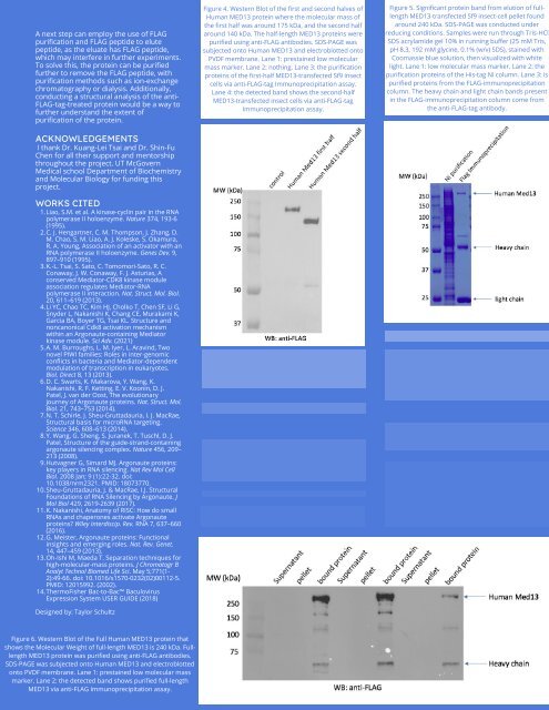 [Rice Catalyst Issue 14]