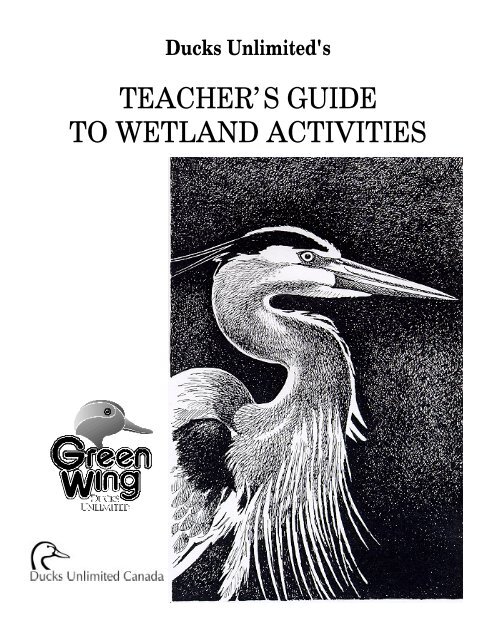 Teacher's Guide to Wetland Activities - US Environmental Protection ...