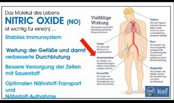 Nitric Oxide . Molekül des Lebens . Überlebenswichtig für den menschlichen Organismus. Bessere Energieversorgung. Unser Innerer Zellreaktor. Kennen Sie ihn?