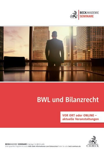 BWL und Bilanzrecht 2023/24