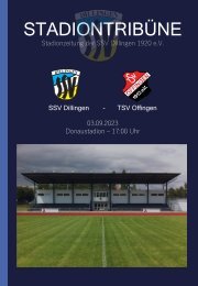 STADIONTRIBÜNE - AKTUELLE NEWS ZU DEN KREISLIGA-HEIMSPIELEN DER SSV DILLINGEN IM DONAUSTADION!