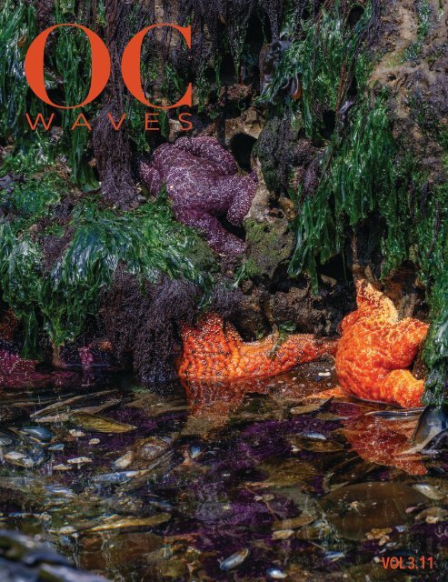 OCW 3.11