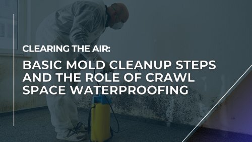 Clearing the Air: Basic Mold Cleanup Steps and the Role of Crawl Space Waterproofing
