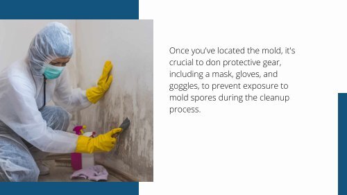 Clearing the Air: Basic Mold Cleanup Steps and the Role of Crawl Space Waterproofing