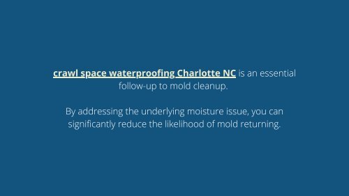 Clearing the Air: Basic Mold Cleanup Steps and the Role of Crawl Space Waterproofing
