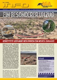 Ein besonderer Umzug - gerettete Geparde bekommen ein neues zu Hause