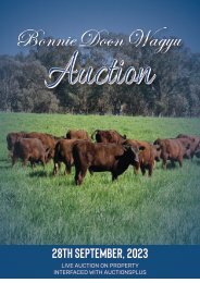 Bonnie Doon Wagyu Auction