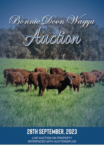 Bonnie Doon Wagyu Auction