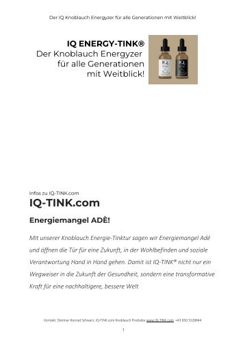 IQ-TINK.com Beschreibung_IQ-TINK_110923