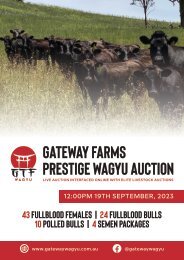 Gateway Farm Prestige Wagyu Auction