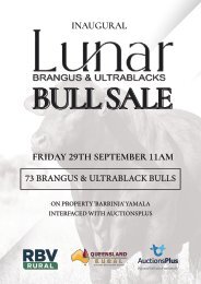 Lunar Brangus & Ultrablacks Bull Sale