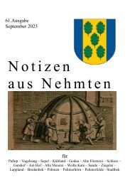 61_NaN-Ausgabe