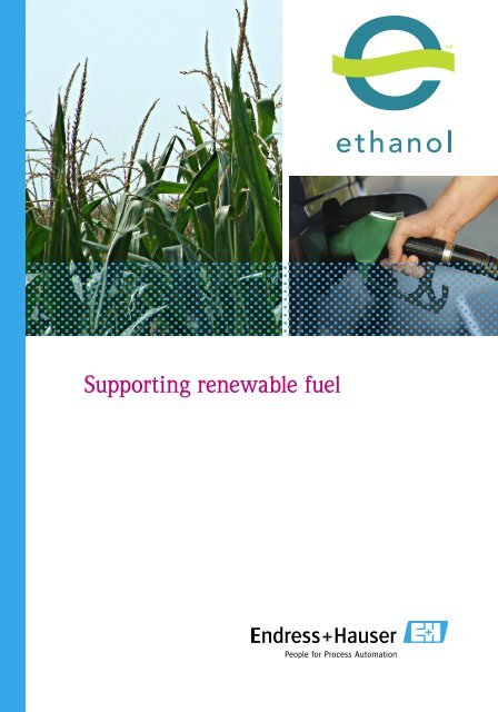 Ethanol Handout Indd Endress Hauser