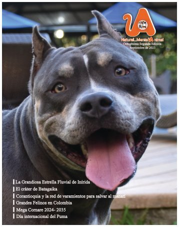 Revista Natural...Mente Animal