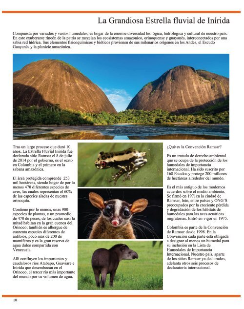 Revista Natural...Mente Animal