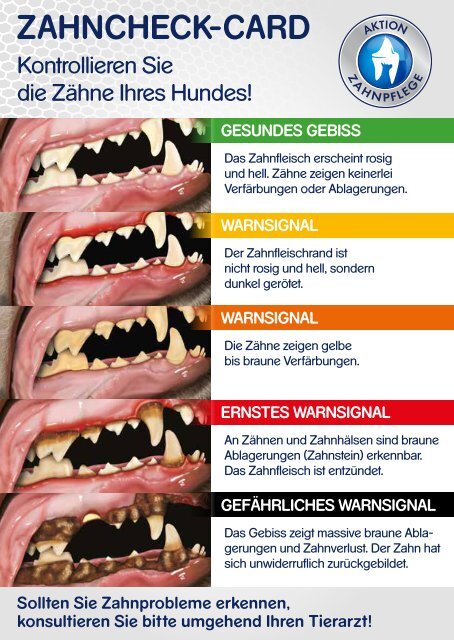 PED_Zahncheckcard_DE