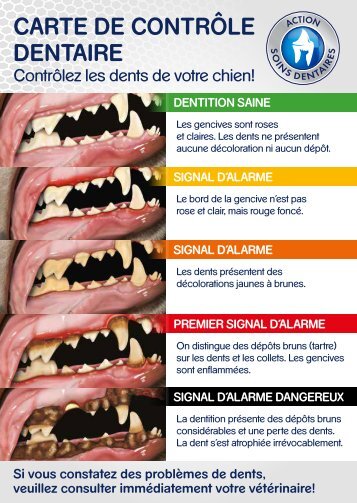 PED_Zahncheckcard_FR