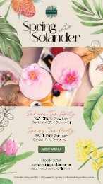 Spring Into Solander
