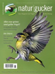 naturgucker Nr. 68