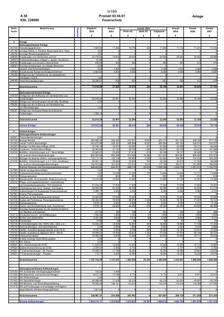 Entwurf des Haushaltsplans 2024: Dezernat II