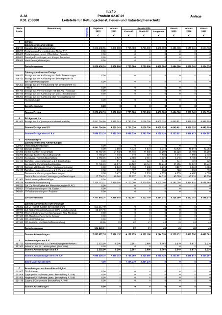 Entwurf des Haushaltsplans 2024: Dezernat II