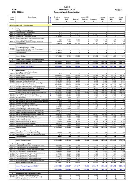 Entwurf des Haushaltsplans 2024: Dezernat II