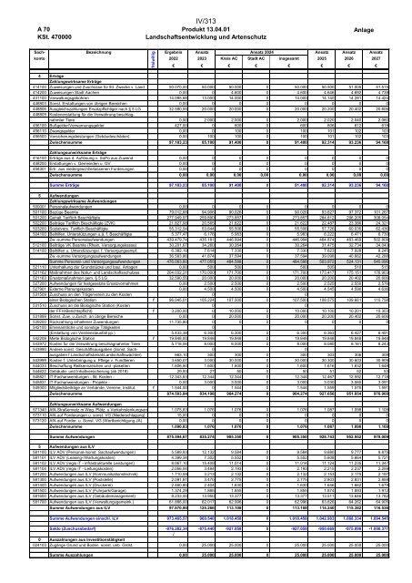 Entwurf des Haushaltsplans 2024: Dezernat IV