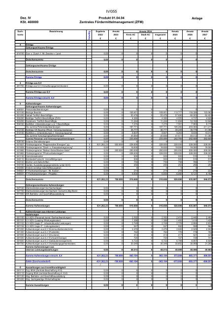 Entwurf des Haushaltsplans 2024: Dezernat IV