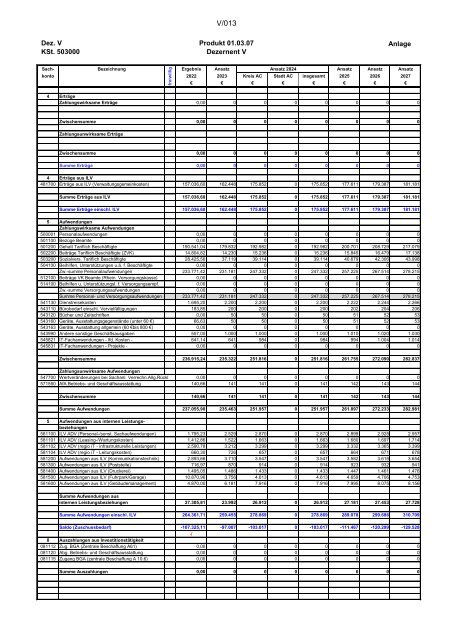 Entwurf des Haushaltsplans 2024: Dezernat V