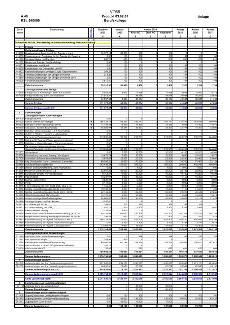 Entwurf des Haushaltsplans 2024: Dezernat V