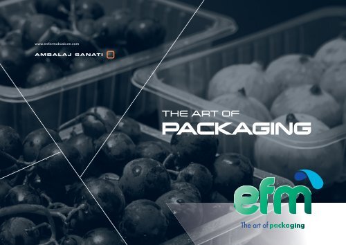 EFM THE RECYCLABLE PACKAGING