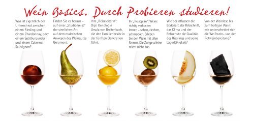 Wein Basics. Durch Probieren studieren! - Rheingau