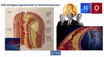 Kann man das Herz/Kreislaufsystem stärken ohne Chemie? Ja, kann man!  Exclusiv bei Kyäni Thüringen!