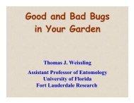Good and Bad Bugs in Your Garden - University of Florida