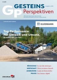 GesteinsPerspektiven 06/23