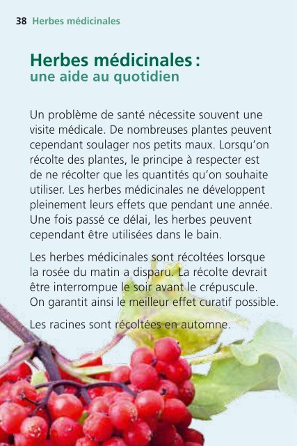 Les herbes aromatiques