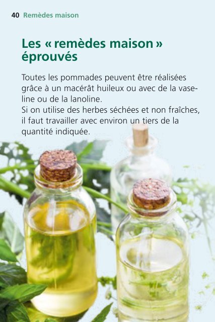 Les herbes aromatiques